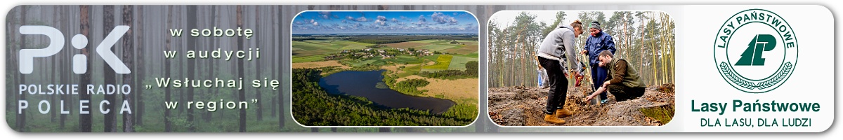 ...spacerujemy po kujawsko-pomorskich lasach - zobacz, posłuchaj