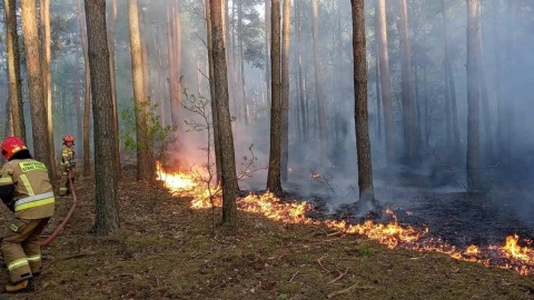 Źródło: facebook.com/pspgrojec