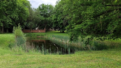 Staw. Fot. Żaneta Walentyn/arch. PR PiK
