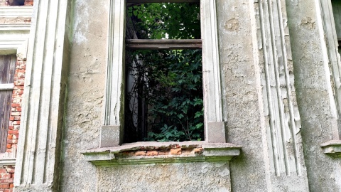 W sypialni państwa Mieczkowskich wyrosły drzewa. Fot. Żaneta Walentyn/arch. PR PiK
