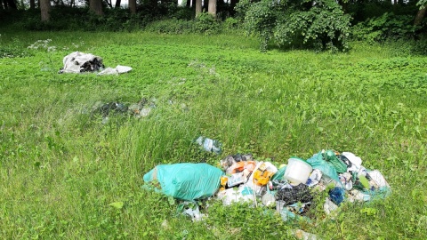 Ktoś podrzucił śmieci do ogrodu. Fot. Żaneta Walentyn/arch. PR PiK