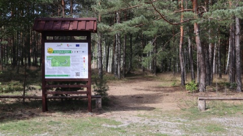 Na terenie Wdeckiego Parku Krajobrazowego powstała Ścieżka Ciszy. Fot. kujawsko-pomorskie.pl