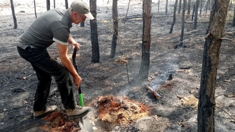 Z pomocą w gaszeniu pożarów przyszedł pan Bolesław Pospiech, leśniczy w Leśnictwie Czernikowo. Fot. Michał Zaręba/PR PiK