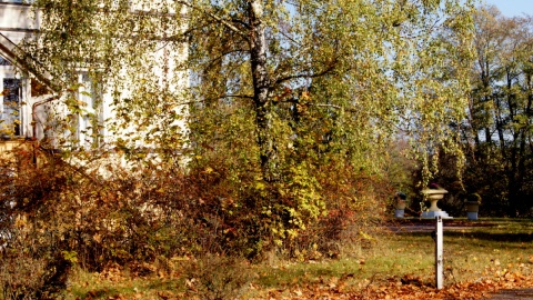 Szukamy skarbu Janta-Połczyńskich. Fot. Henryk Żyłkowski/arch. PR PiK