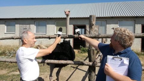 Hodowla strusi, historia starych dworów i szkółka wędkarska. Wakacyjny PiKnik w Płużnicy