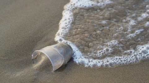 Parlament Europejski poparł zakaz sprzedaży plastikowych opakowań, słomek i sztućców