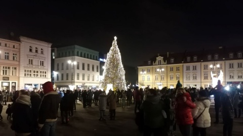 Choinka rozbłysła na Starym Rynku. Inauguracja świątecznych iluminacji [wideo]