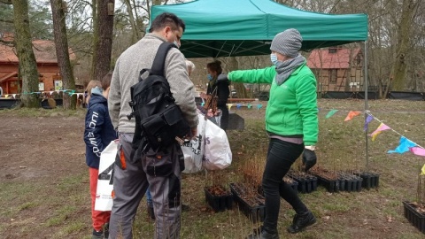 Mieszkańcy Torunia mogą dziś Posadzić drzewo dla pokoleń