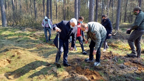 Leśnicy i wolontariusze sadzili las. Urosną drzewa różnych gatunków [wideo, zdjęcia]