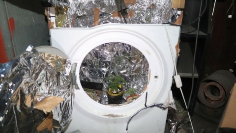 Z zewnątrz pralka, w środku ogrzewarka dla konopi indyjskich [zdjęcia]