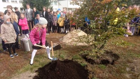 Posadzili drzewo, zakopali kapsułę czasu. 100 lat szkoły muzycznej w Toruniu [wideo]