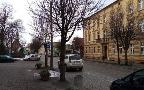 Walka o drzewa w Żninie. Chcą je wyciąć, by zbudować ścieżkę rowerową i parkingi