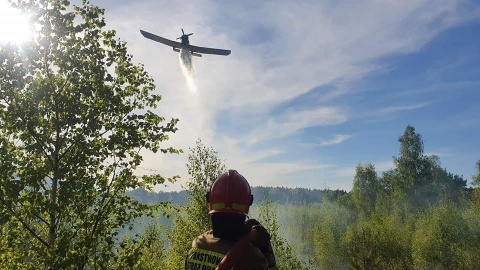 Pożar poszycia leśnego w Bydgoszczy. W akcji strażacy i samoloty Lasów Państwowych