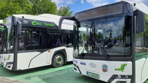 Sześć nowych autobusów elektrycznych wyjedzie na ulice Torunia [zdjęcia]