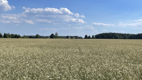Minister rolnictwa o ochronie produkcyjnej funkcji wsi. „Udało się wygrać jedną z bitew"