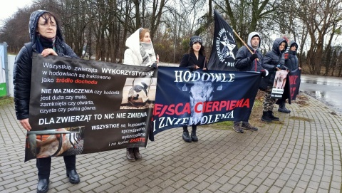 Protest miłośników zwierząt w Bydgoszczy. Targi hodowców okazją do wyrażenia sprzeciwu