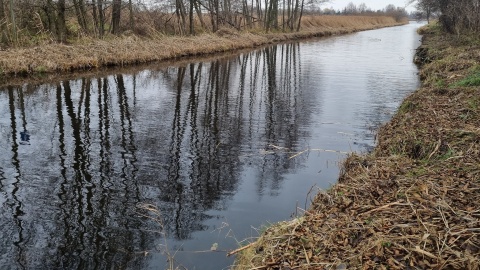 Wody Polskie i gmina Żnin zajmą się rzeką Gąsawką. Trzeba usunąć muł i krzaki