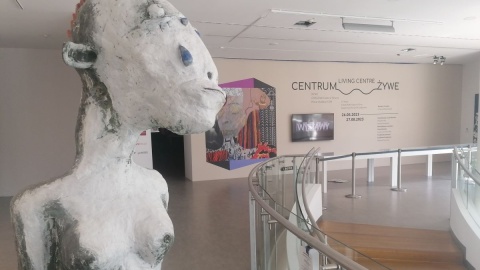 Na 15-lecie toruńskiego CSW przypominają 20 najważniejszych wystaw [zdjęcia]