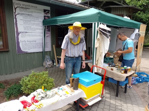 Toruńskie zoo uczy, jak wspierać pszczoły. I prezentuje nowe zwierzaki [wideo]
