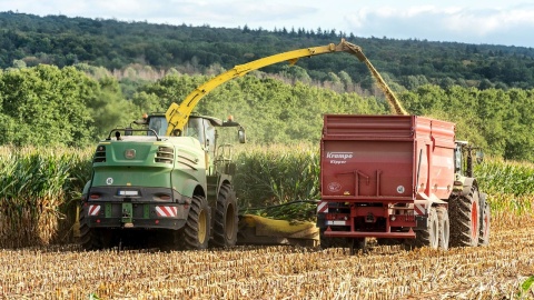 Zakaz przywozu czterech zbóż z Ukrainy do Polski przedłużony. Jest rozporządzenie