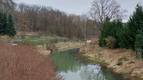 Brda w Koronowie/fot. Elżbieta Rupniewska, archiwum