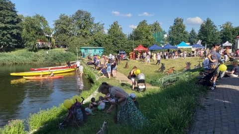 Bydgoskie Bartodzieje miodem płynące. Wesołe, sportowe i słodkie święto osiedla [zdjęcia, wideo]