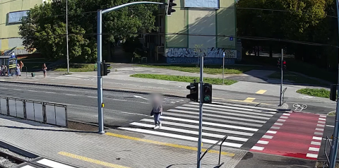 Policjanci w regionie dbali o niechronionych uczestników ruchu. Za nami akcja Bezpieczny pieszy