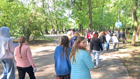 W akcję sprzątania zaangażowały się bydgoskie szkoły. / Fot. Damian Klich