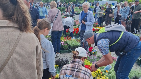 Majowy Kiermasz Ogrodniczy w Bydgoszczy/fot. Kiermasz Ogrodniczy Bydgoszcz/Facebook