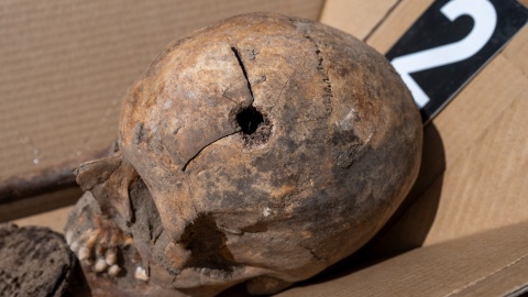 Wykopaliska archeologiczne w Borównie/fot. Instytut Pamięci Narodowej Oddział w Gdańsku/Facebook