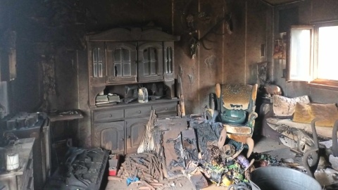 W Alpakarni w Ostrówku zamknięto zwierzęta, po czym podpalono stodołę. Łącznie zginęło 10 alpak i lama/fot: Archiwum / Marcin Glapiak