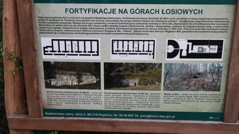 Na inaugurację naszego Wakacyjnego przewodnika po regionie zwiedzaliśmy Góry Łosiowe/fot: Maciej Wilkowski