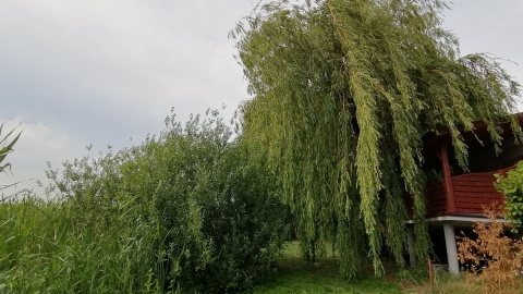 W naszym cyklu „Wakacyjny przewodnik po regionie” odwiedziliśmy Piotrków Kujawski/fot. Iwona Muszytowska-Rzeszotek