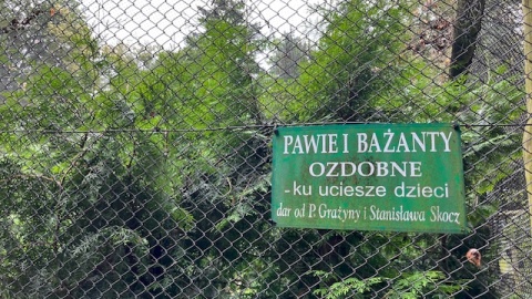 W ramach zajęć Letniej Akademii Recyklingu dzieci odwiedziły Nadleśnictwo Żołędowo/fot. Elżbieta Rupniewska
