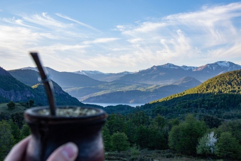 Yerba mate - naturalna energia prosto z Ameryki Południowej [reklama]