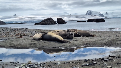 Zmiany klimatu zapisane są w osadach. Ważne badania naukowców z UKW w Kanadzie i Norwegii