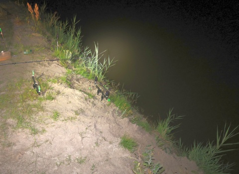 Tragedia pod Piotrkowem Kujawskim. Wędkarz wpadł do stawu i utonął