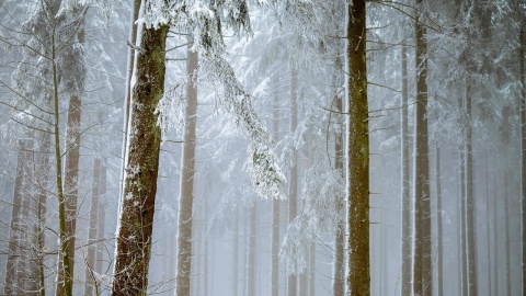 Nie tylko ślizgawica. IMGW ostrzega całe województwo przed gęstą mgłą